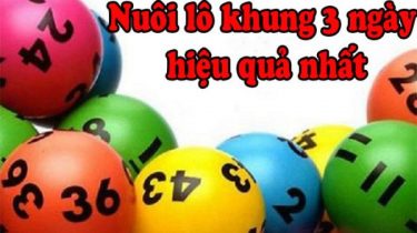 Hướng dẫn cách bắt bạch thủ lô vip nhất