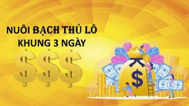 Lô bạch thủ khung 3 ngày